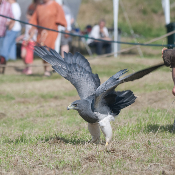 photographybyduncanholmes_3758771376_burghead2009 (45 of 73).jpg